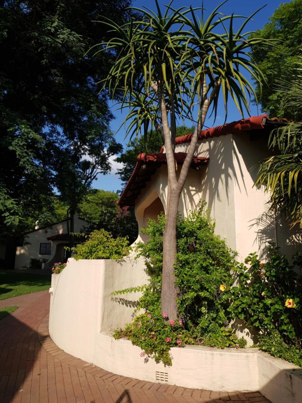 Villa Botanica Guest House Midrand Dış mekan fotoğraf